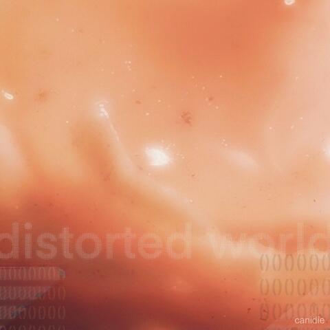 distorted world ()