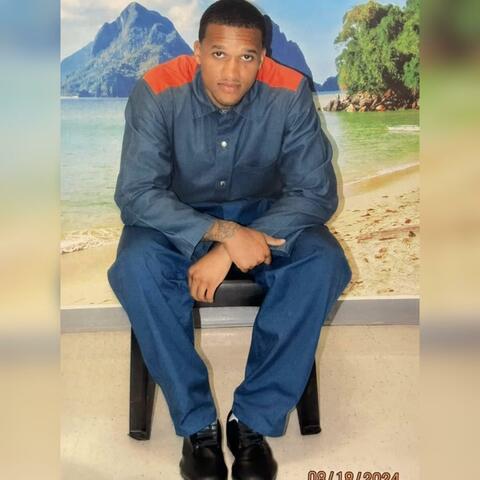 Free Groovy