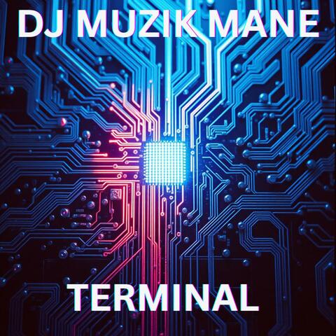 Terminal