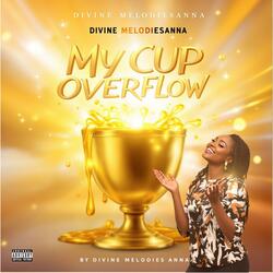 My Cup Dey Overflow