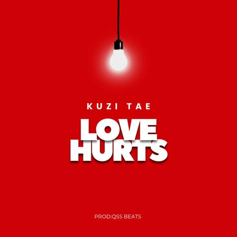 LOVE HURTS (feat. QSS)
