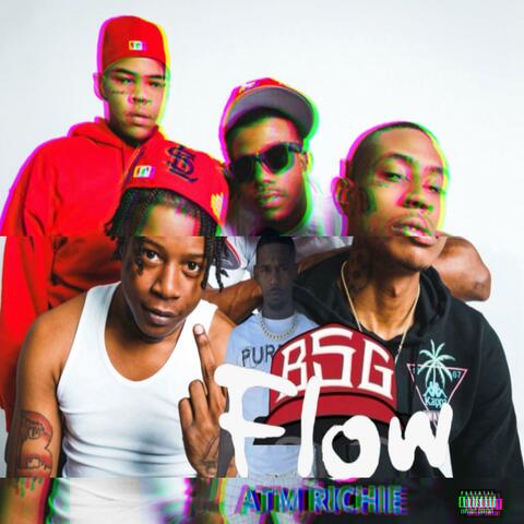 BSG FLOW