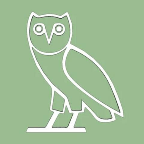 OWL BOSS