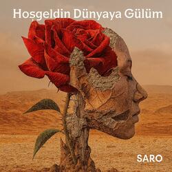 Hoş geldin dünyaya gülüm