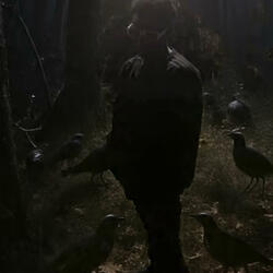 Cant say i wouldnt lie (Outro)