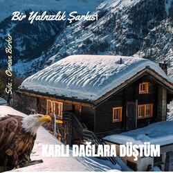 KARLI DAĞLARA DÜŞTÜM