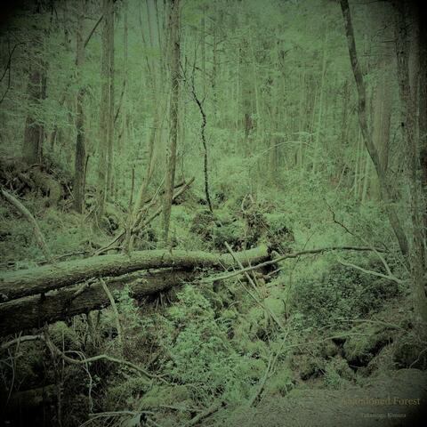 Abandoned Forest