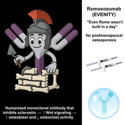 Romosozumab (Anabolic Version)