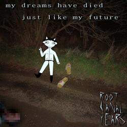 my dreams have died just like my future