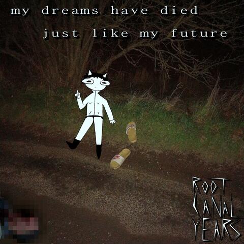 my dreams have died just like my future