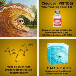 Cidofovir (Chipmunk Soul Version)