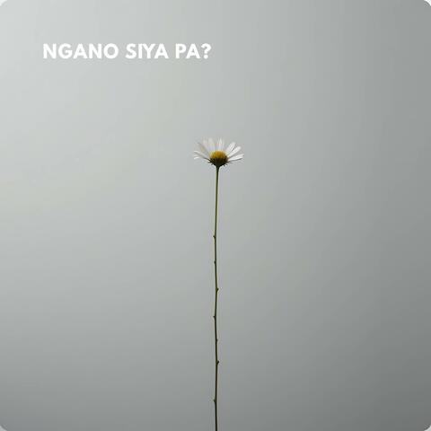 Ngano siya pa?