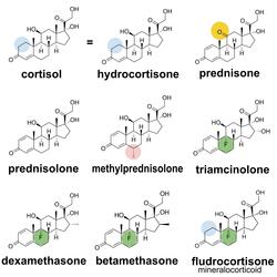 Corticosteroids (Slowcore Version)