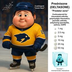 Prednisone (Anti-inflammatory Version)