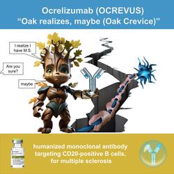 Ocrelizumab (Soul Version)