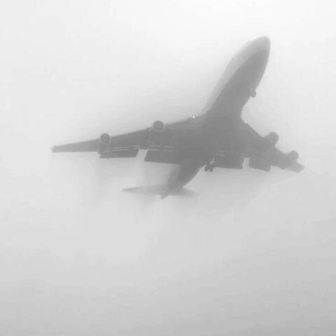 fly