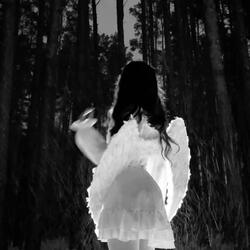 chronicles  (Slowed)