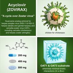 Acyclovir (Future G Funk Version)