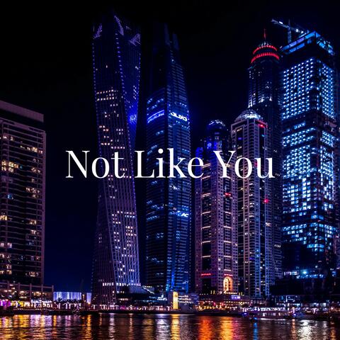 Not Like You