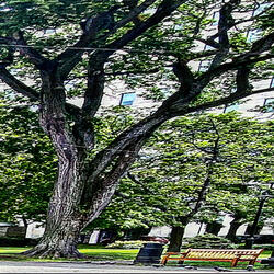 reject (feat. gl0wrm)