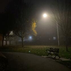 can you cure loneliness