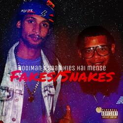 Fake/Snakes