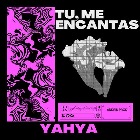 TÚ, ME ENCANTAS
