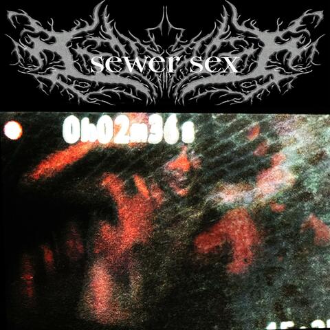 SEWER SEX