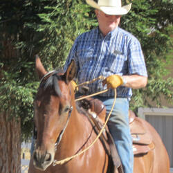 A Fool on Bended Knee Country