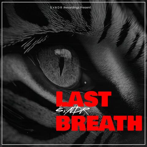LAST BREATH