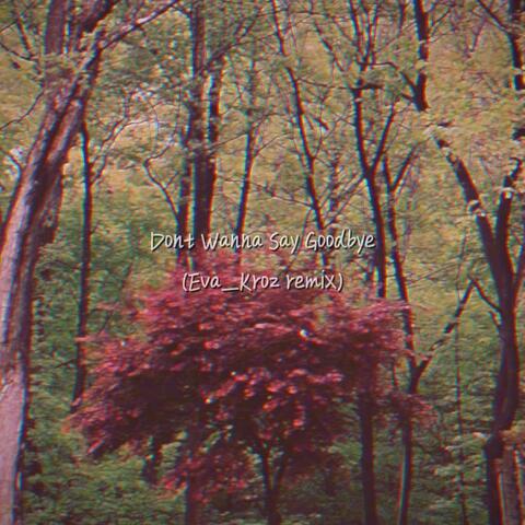 Don't Wanna Say Goodbye (feat. Eva Kroz) [Eva Kroz Remix]