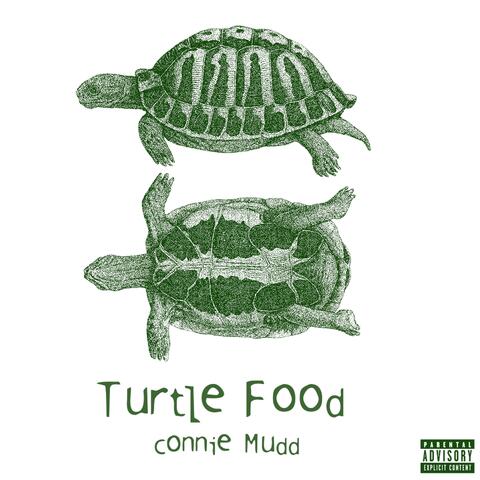 Turtle Food