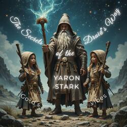 The Secrets of the Druid's Way