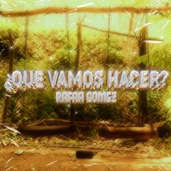 ¿Qué vamos hacer?
