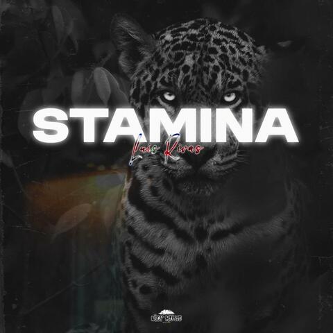 Stamina