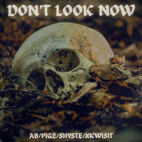Don't Look Now (feat. Mista Pigz, Shyste Chronkyte & Xkwisit)