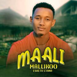 Maali Mallikoo