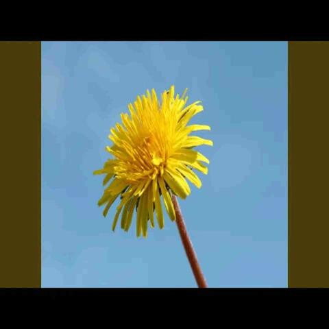 Autism hungarian sleep 4