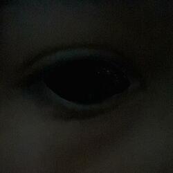 Lifeless Eyes