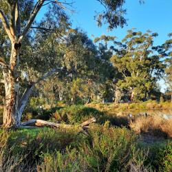 Question by Mary Heath