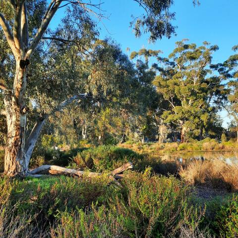 Question by Mary Heath