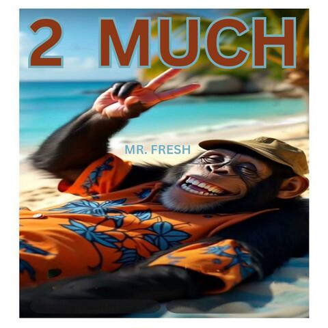 2 much (new mix)