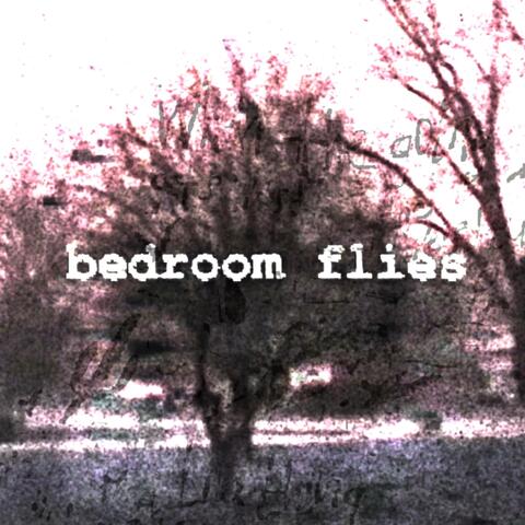 bedroom flies