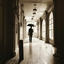 Summer Rain
