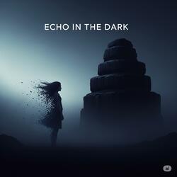 Echo in the dark