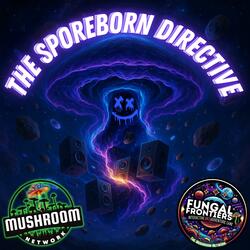 Spores of Chaos Flow