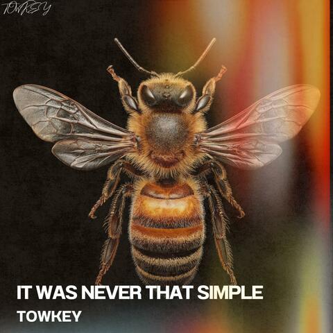 IT WAS NEVER THAT SIMPLE