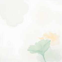 莲眠 (Lotus Sleep)