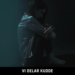 Vi delar kudde (feat. Lousie)