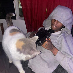 i hate pussy shit / BTA